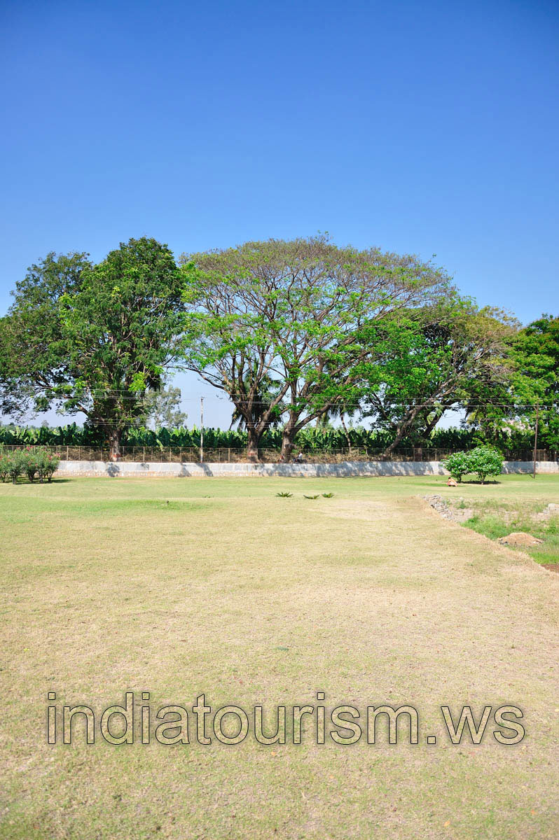 Lawn around the temple