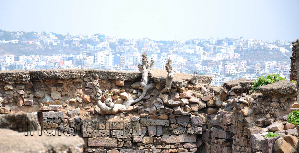 The tree has grown into the wall