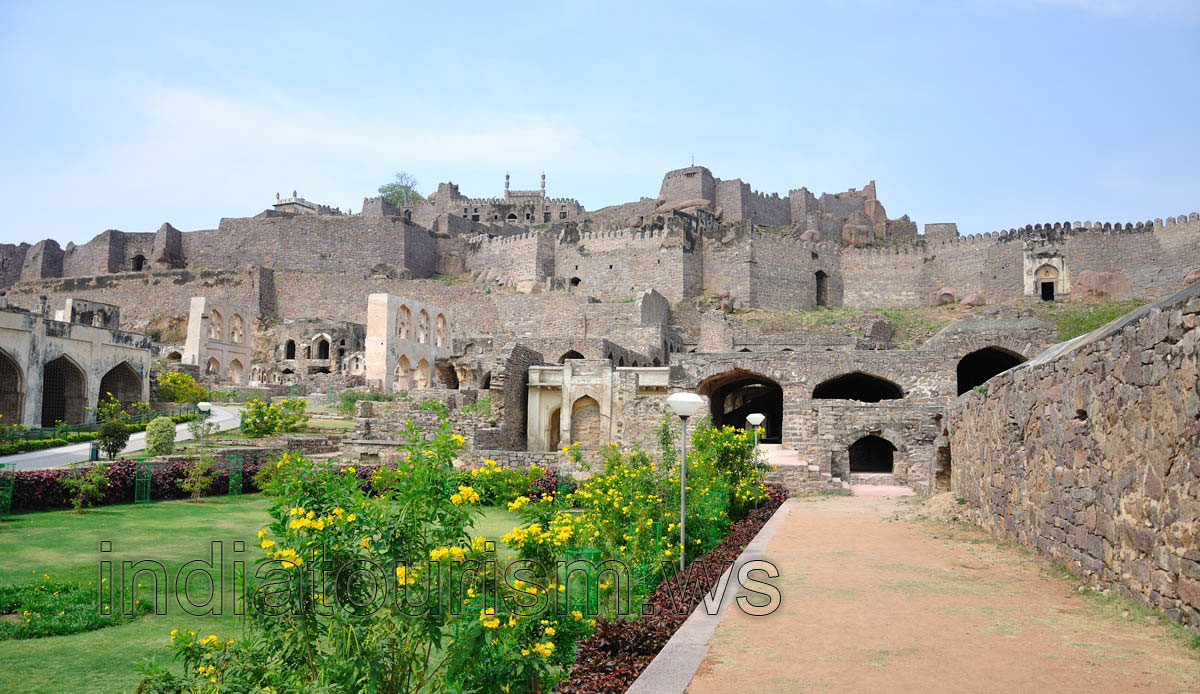 Yellow flowers of the fort
