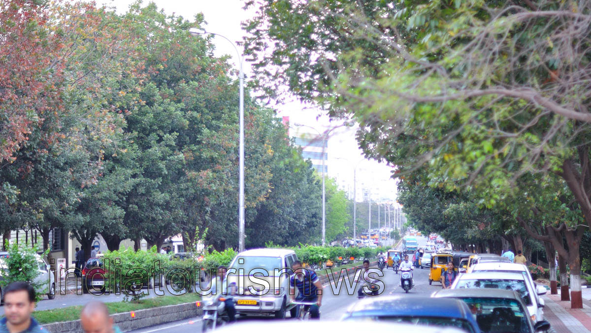 Road along Dell Computers