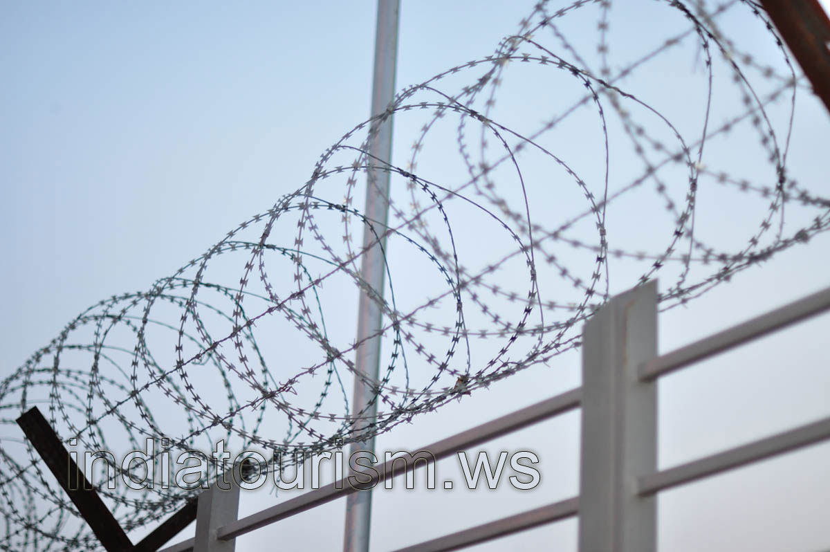 Barbed wire