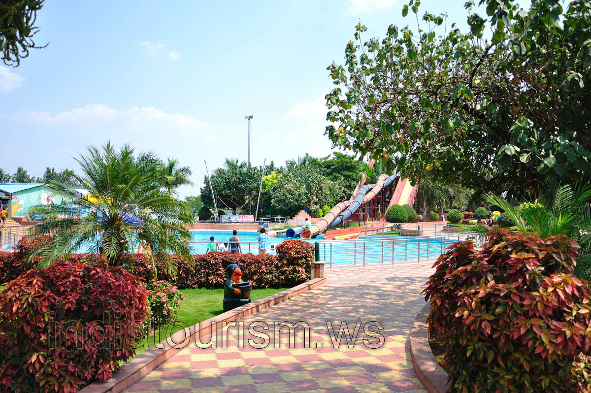 Beautiful waste container