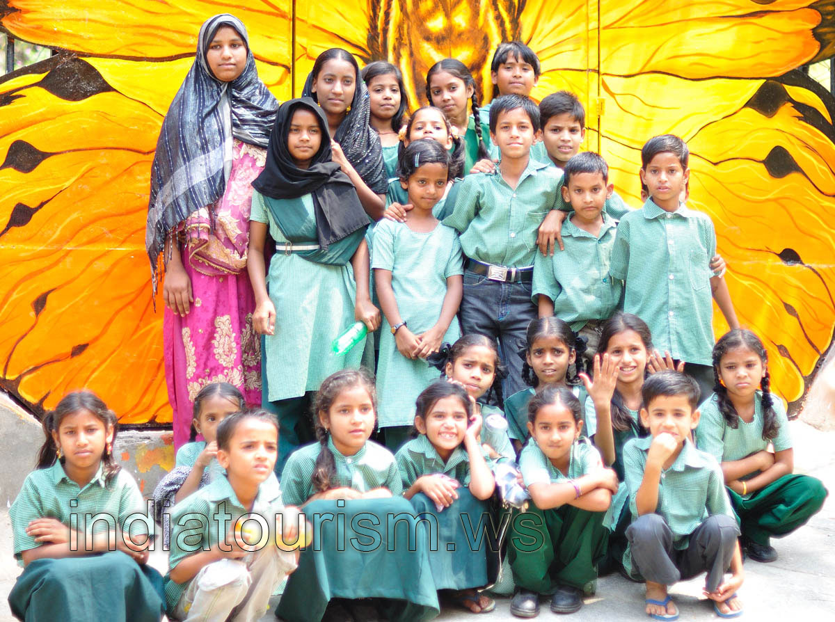 Group of children in the zoo