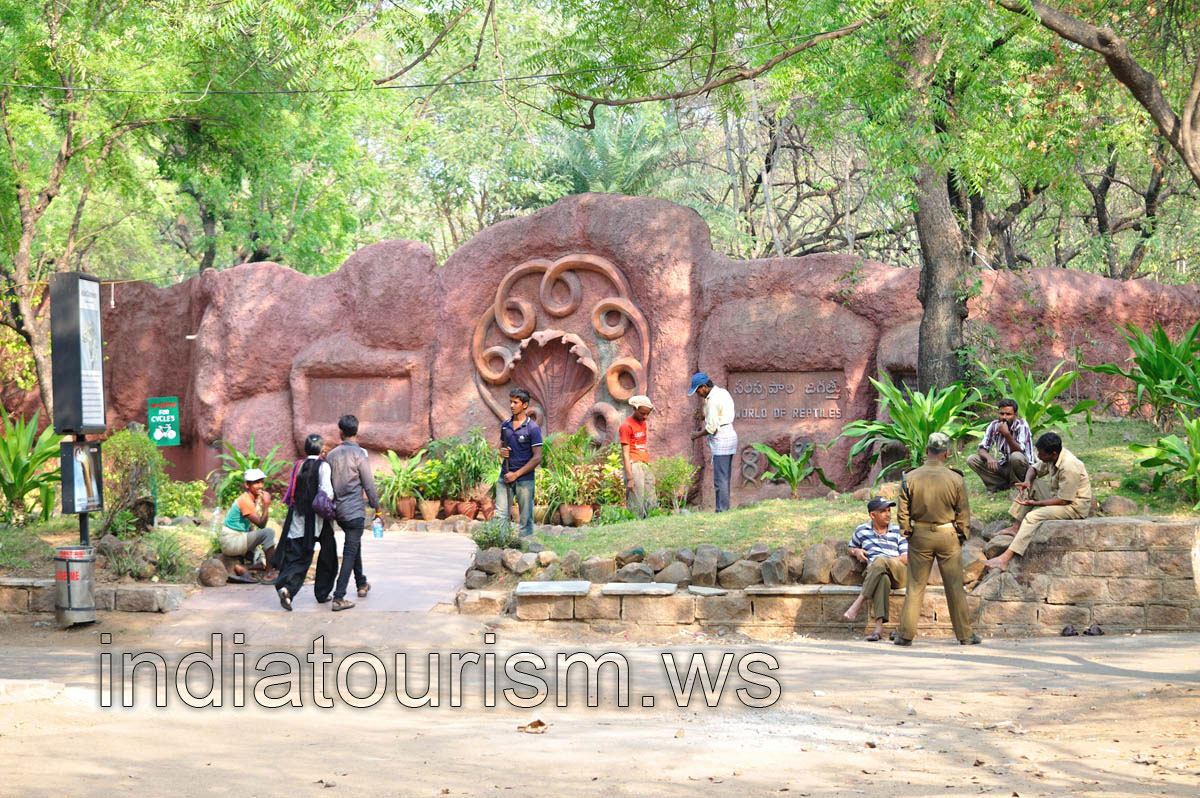 World of reptiles, at the entrance