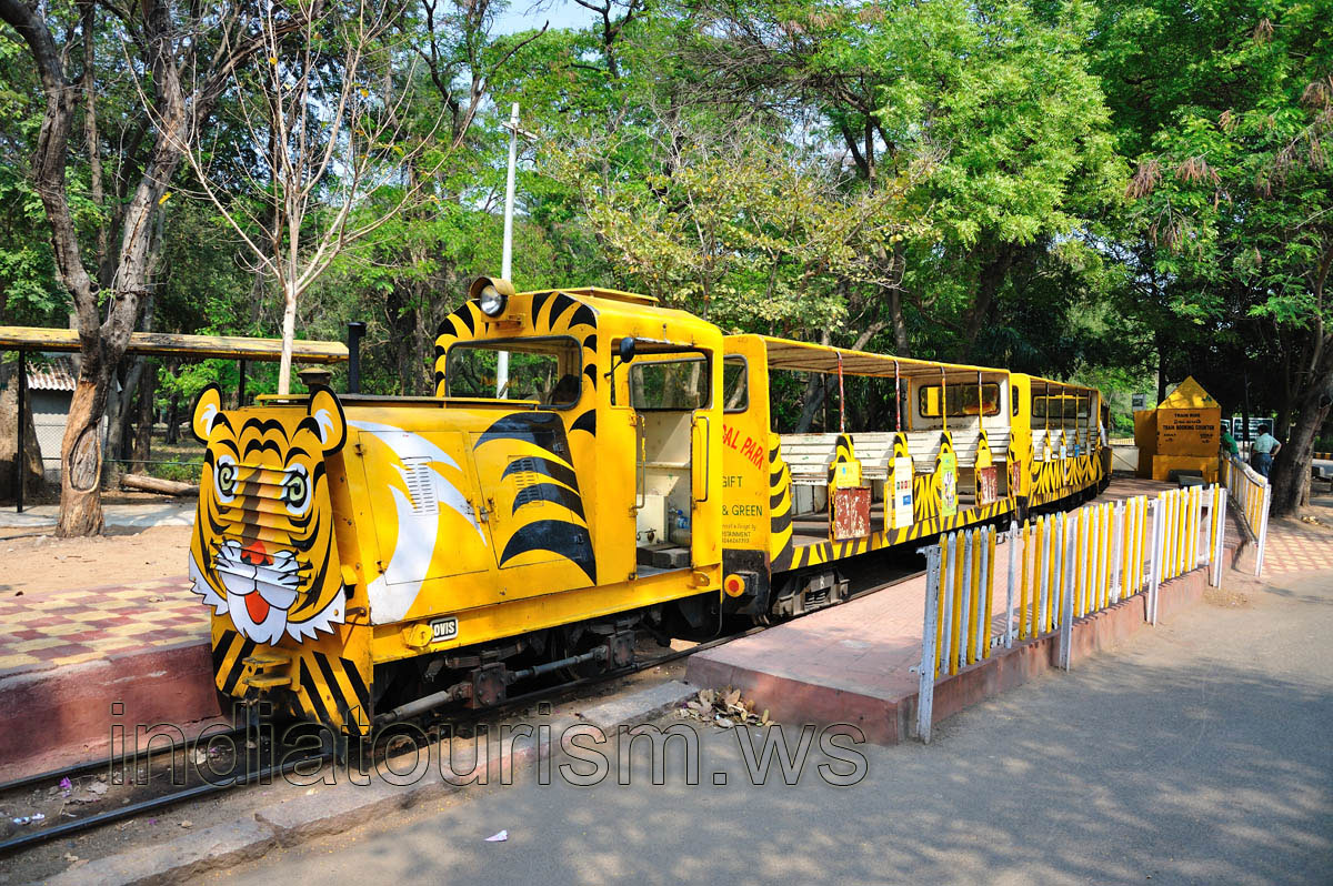 Yellow train of the zoo