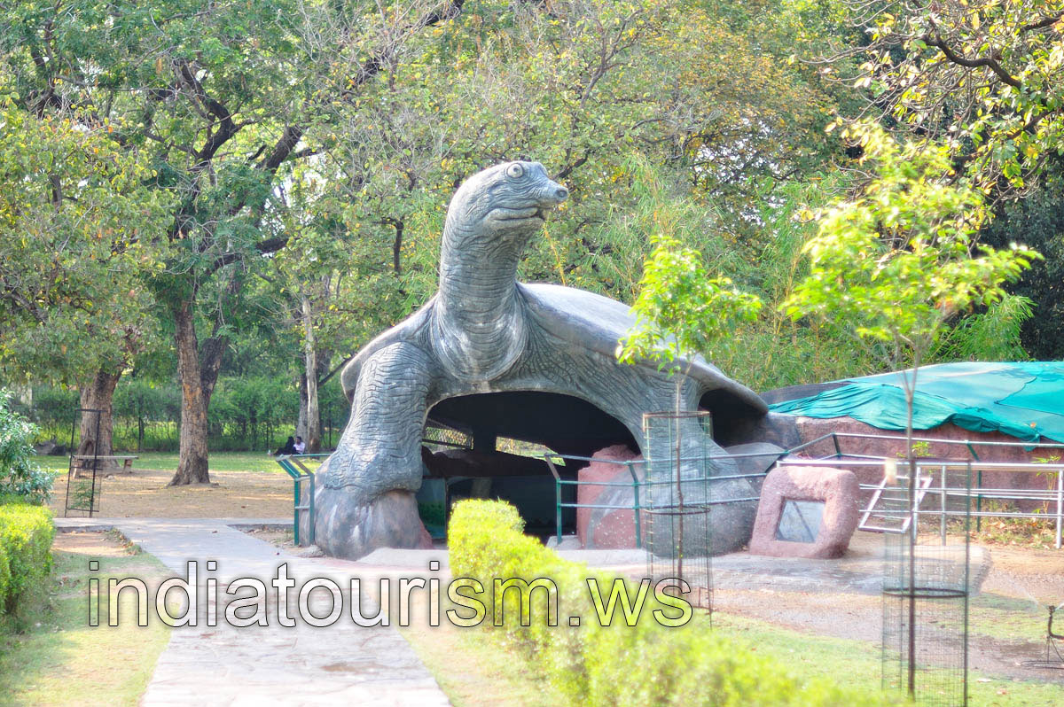 Entrance to the Turtle tunnel