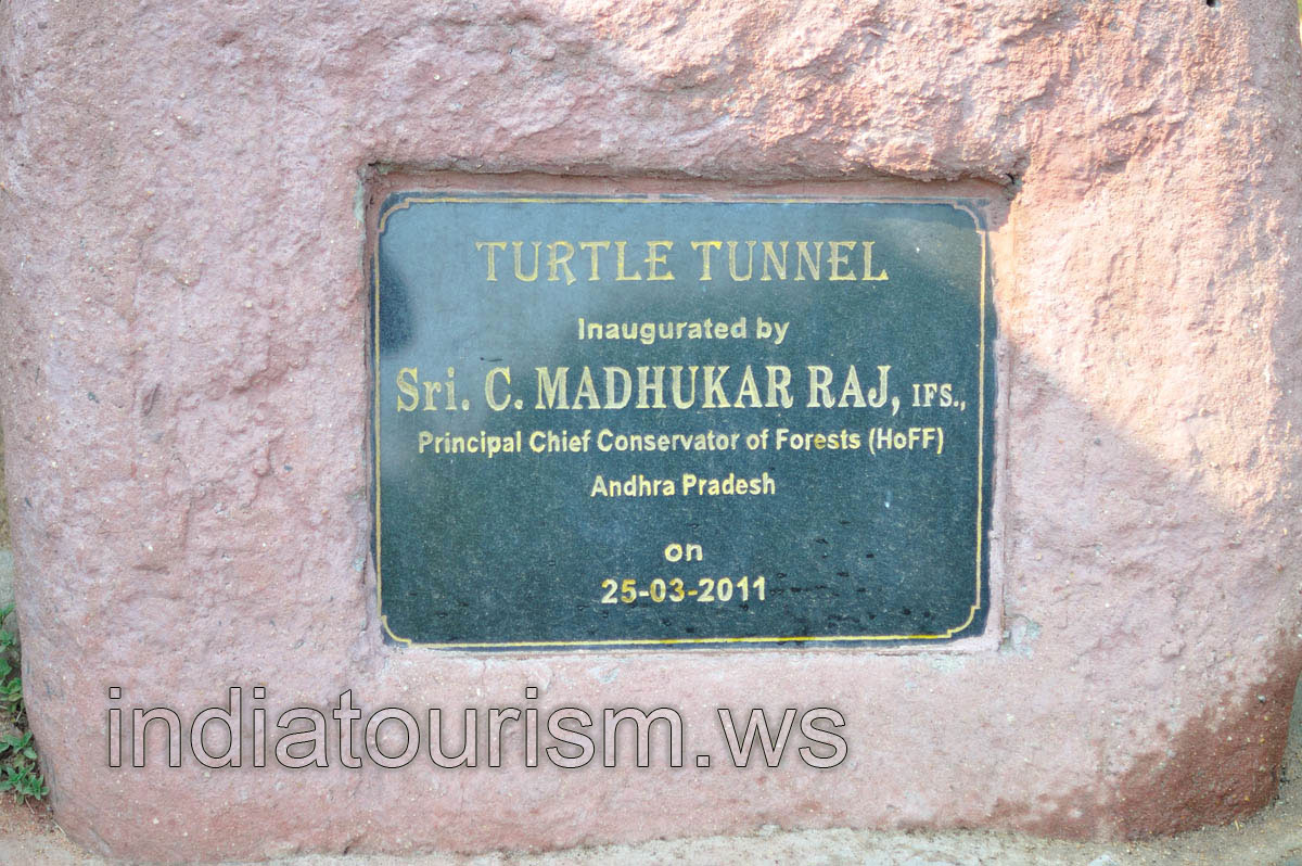 Turtle tunnel, the inscription