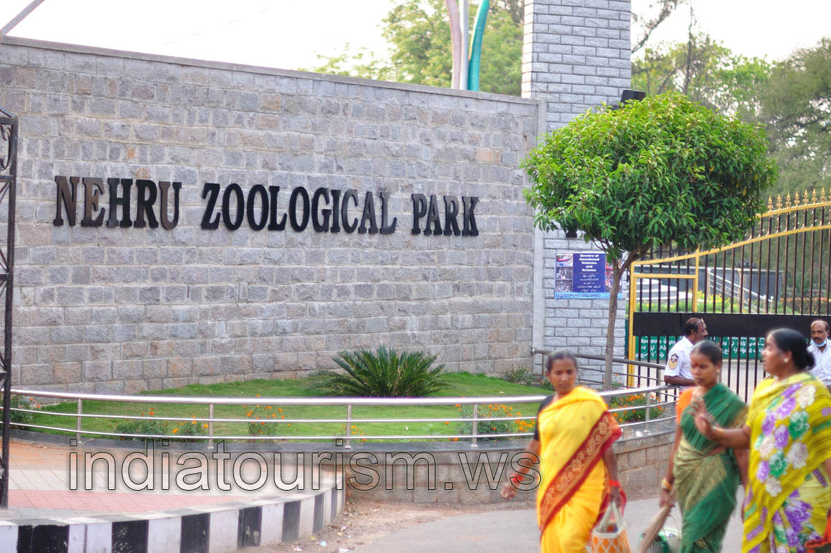 The name of the zoo is written on the entrance wall