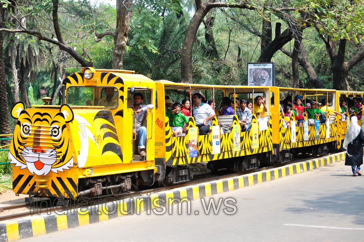 Train with tourists went on a journey