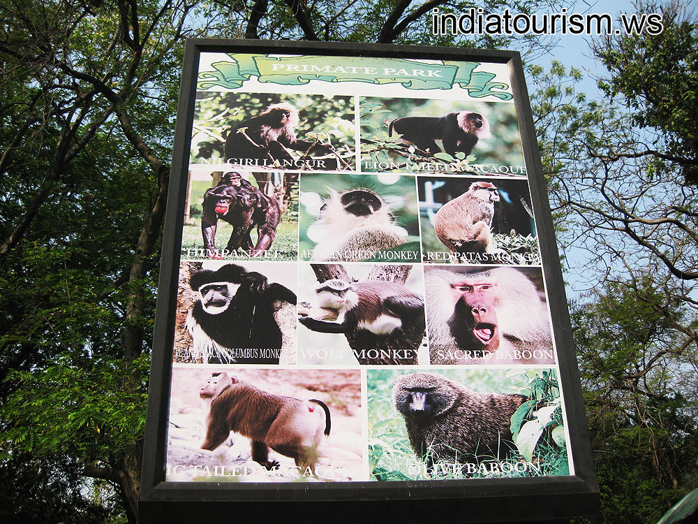 Primate park, information board