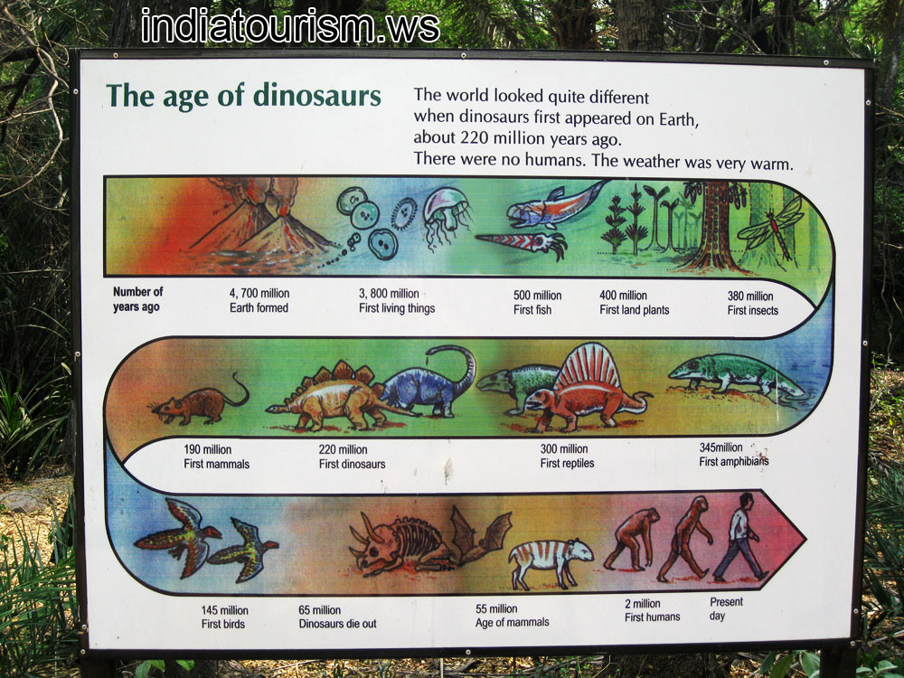 The age of dinosaurs