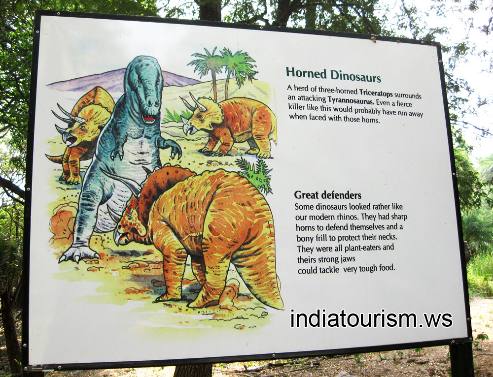 Horned dinosaurs and great defenders