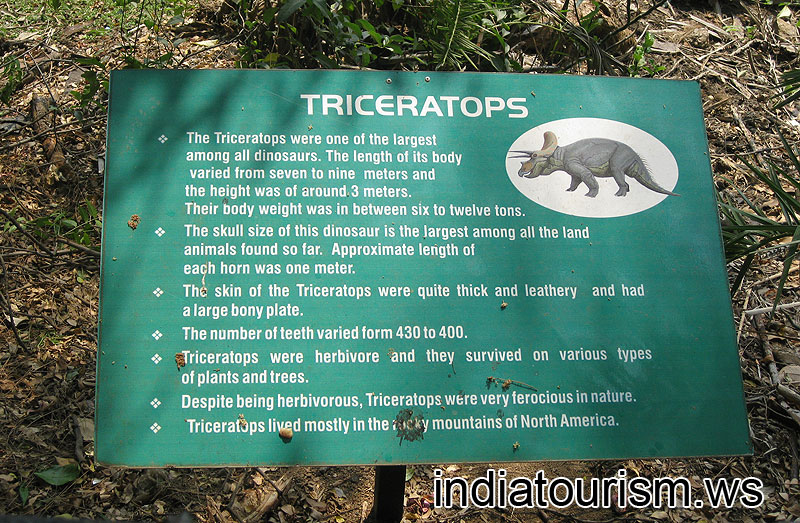 Triceratops