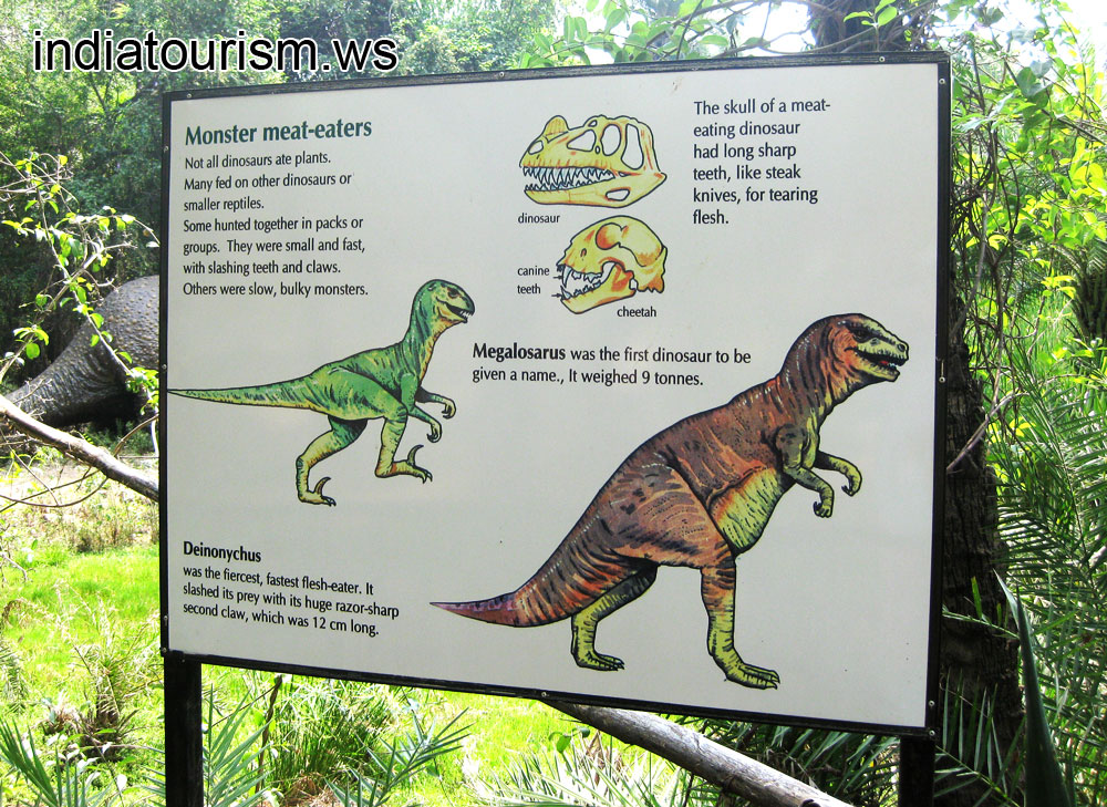 Monster meat-eaters: Deinonychus and Megalosaurus