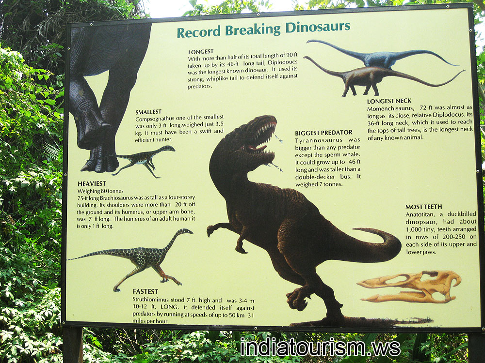 Record breaking dinosaurs