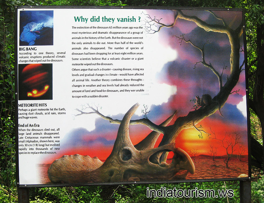 Why did dinosaurs vanish?
