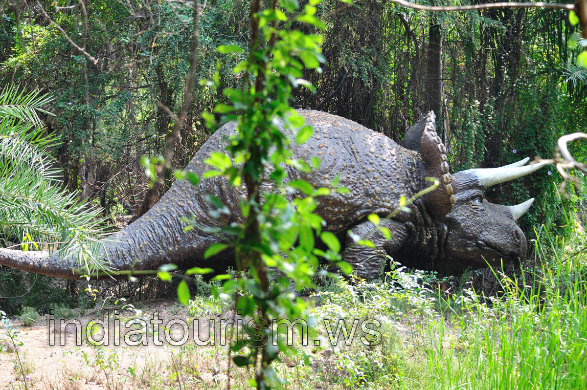 Triceratops