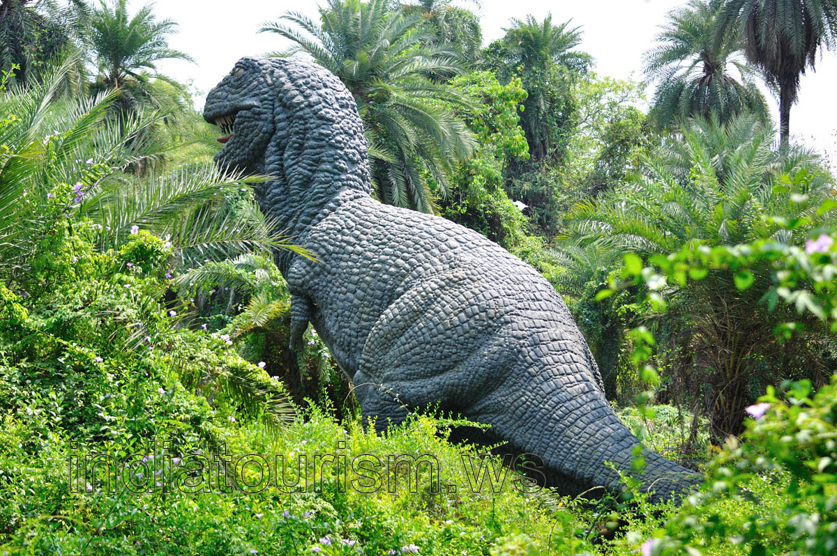 The back of Tyrannosaurus