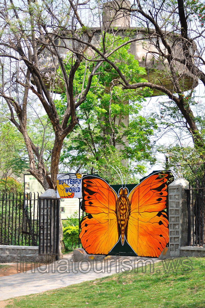 Entrance to Butterfly World