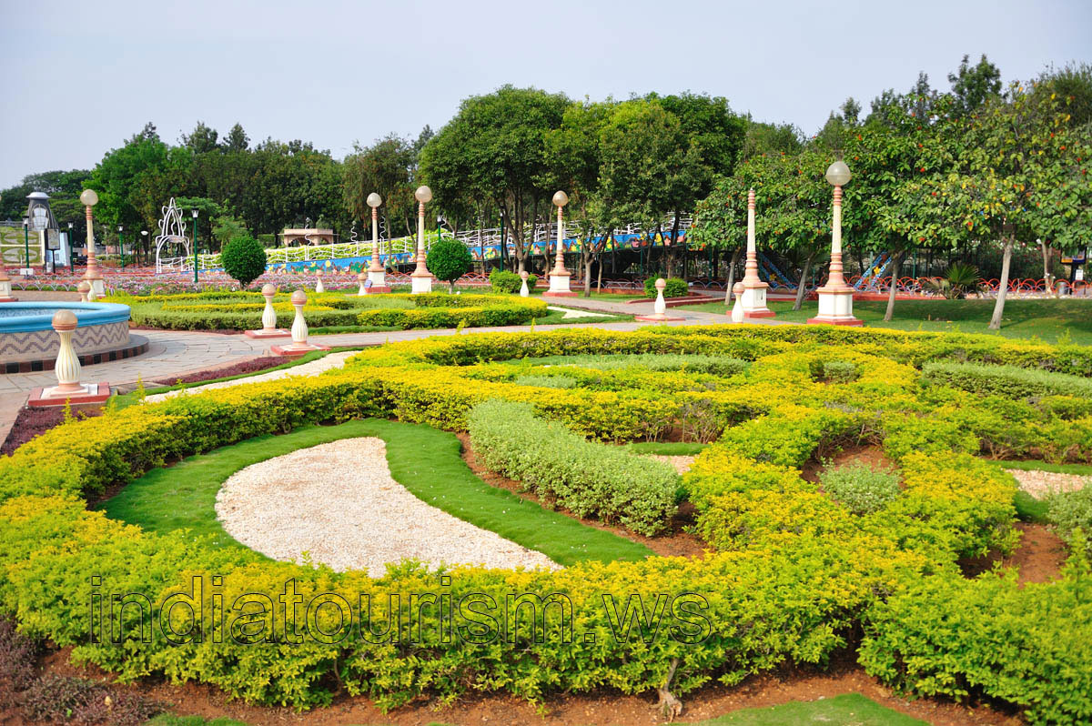 Tiny shrubs as an element of the landscape design