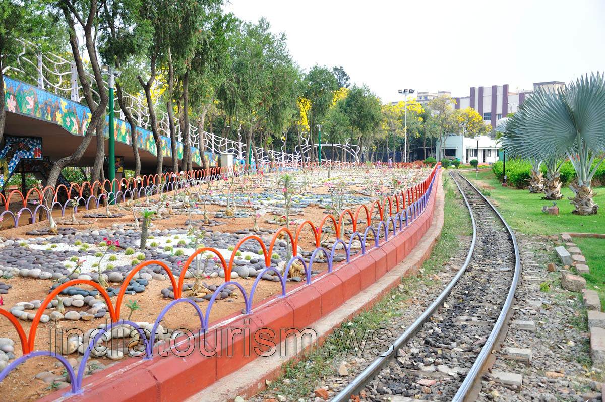 Bismarck palms have been planted along the railway
