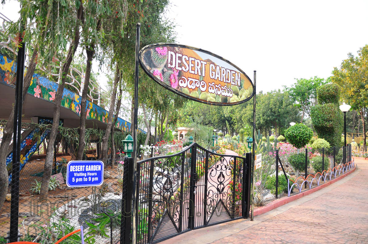 Desert Garden: visiting hours 5pm to 9pm