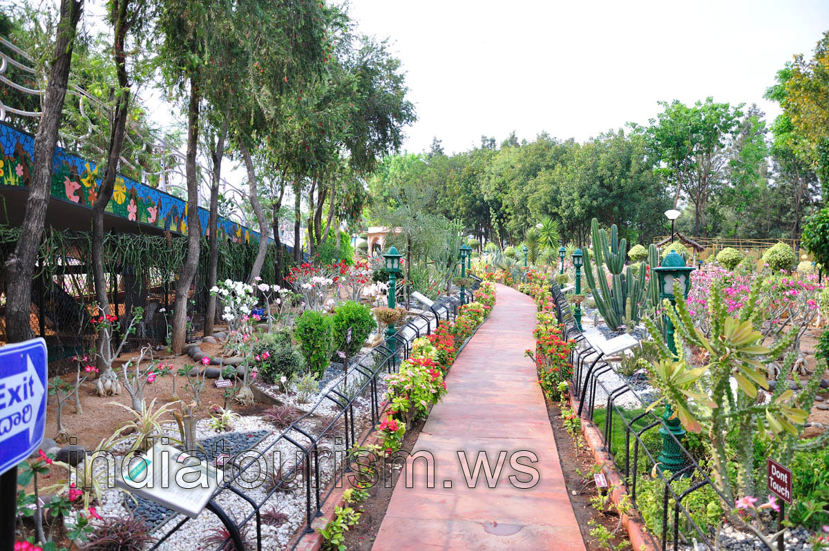 The pathway inside the Desert Garden