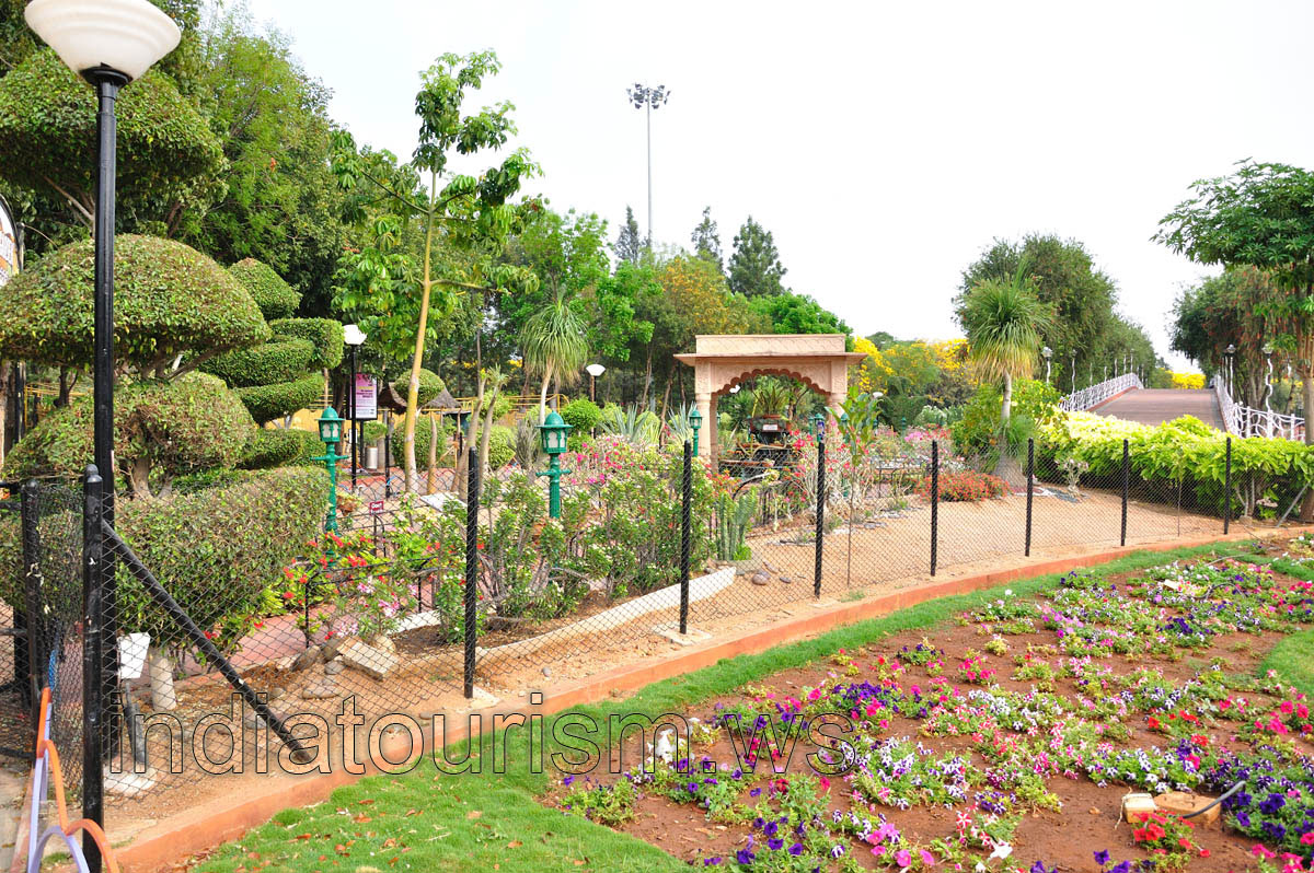Landscape shrubs and garden bridge