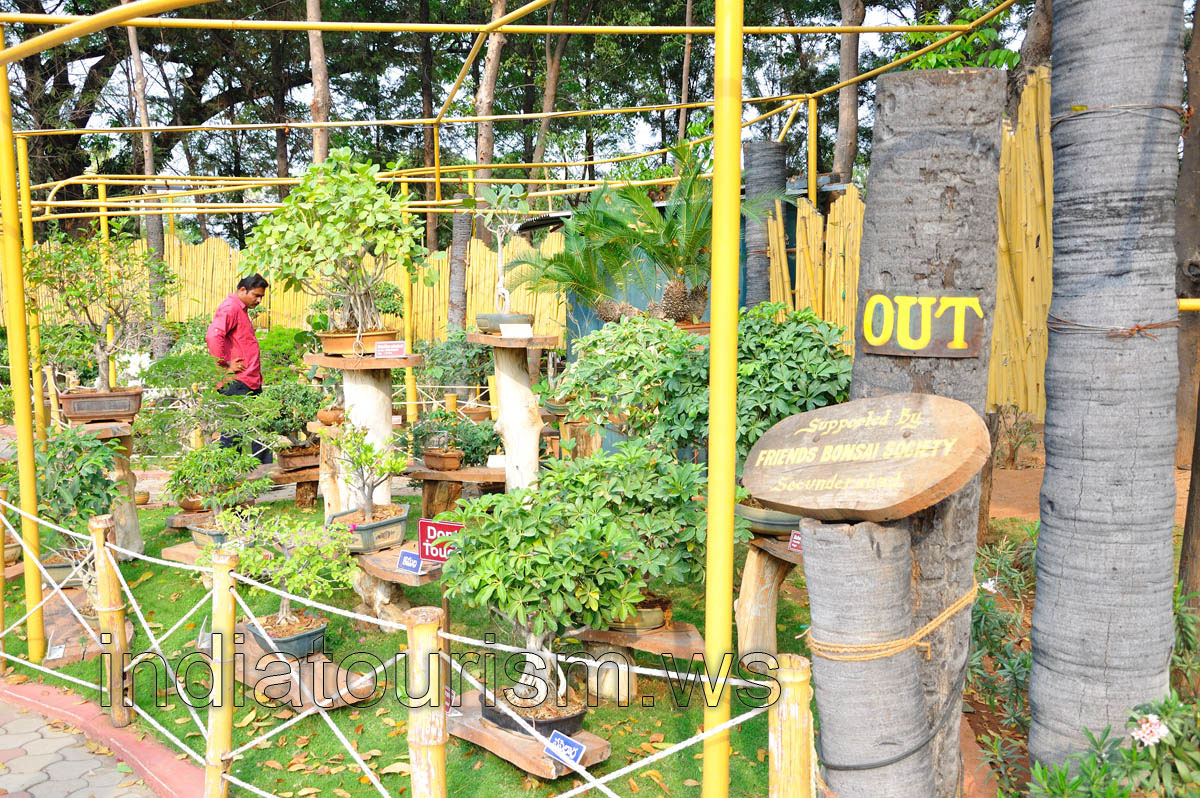 Supported by Friends Bonsai Society, Secunderabad