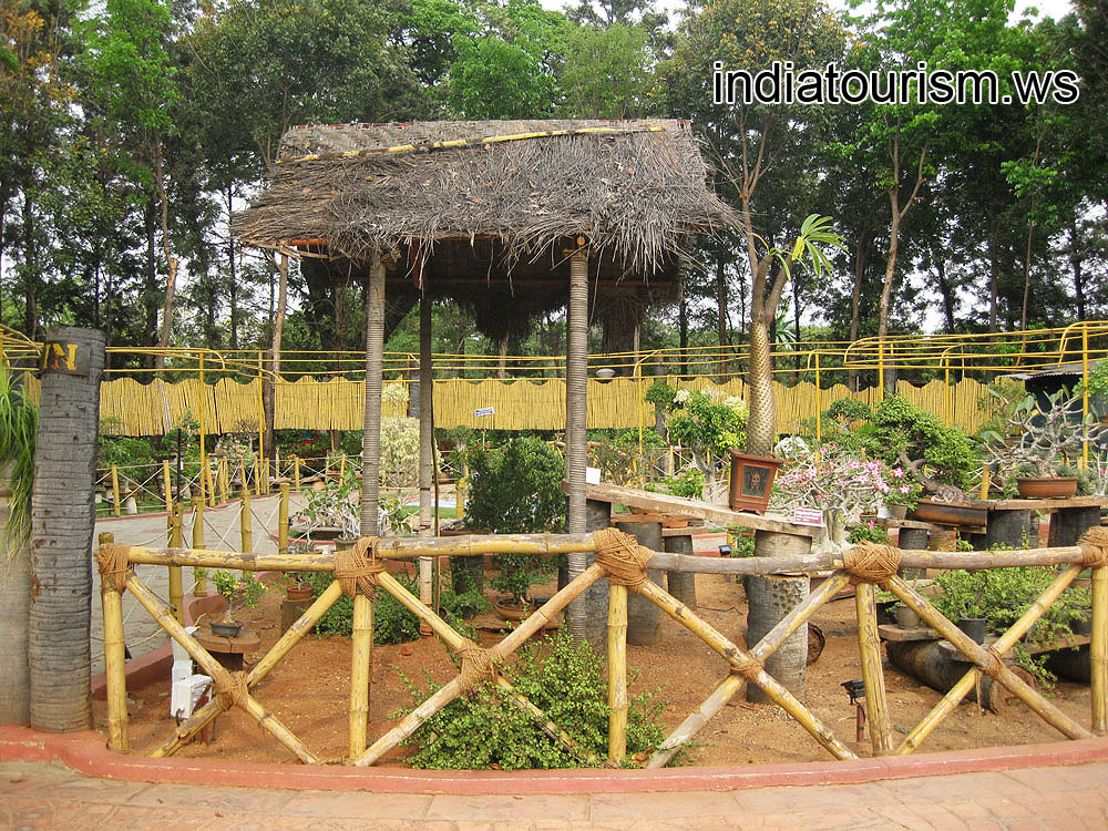 The bamboo fence of the Bonsai Wonder