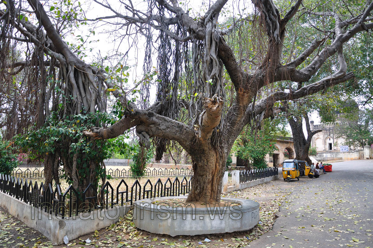 Qutub Shahi Tomb Rd