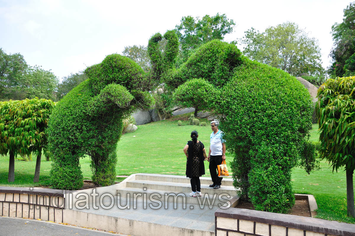 Sanctuary garden: two elephants
