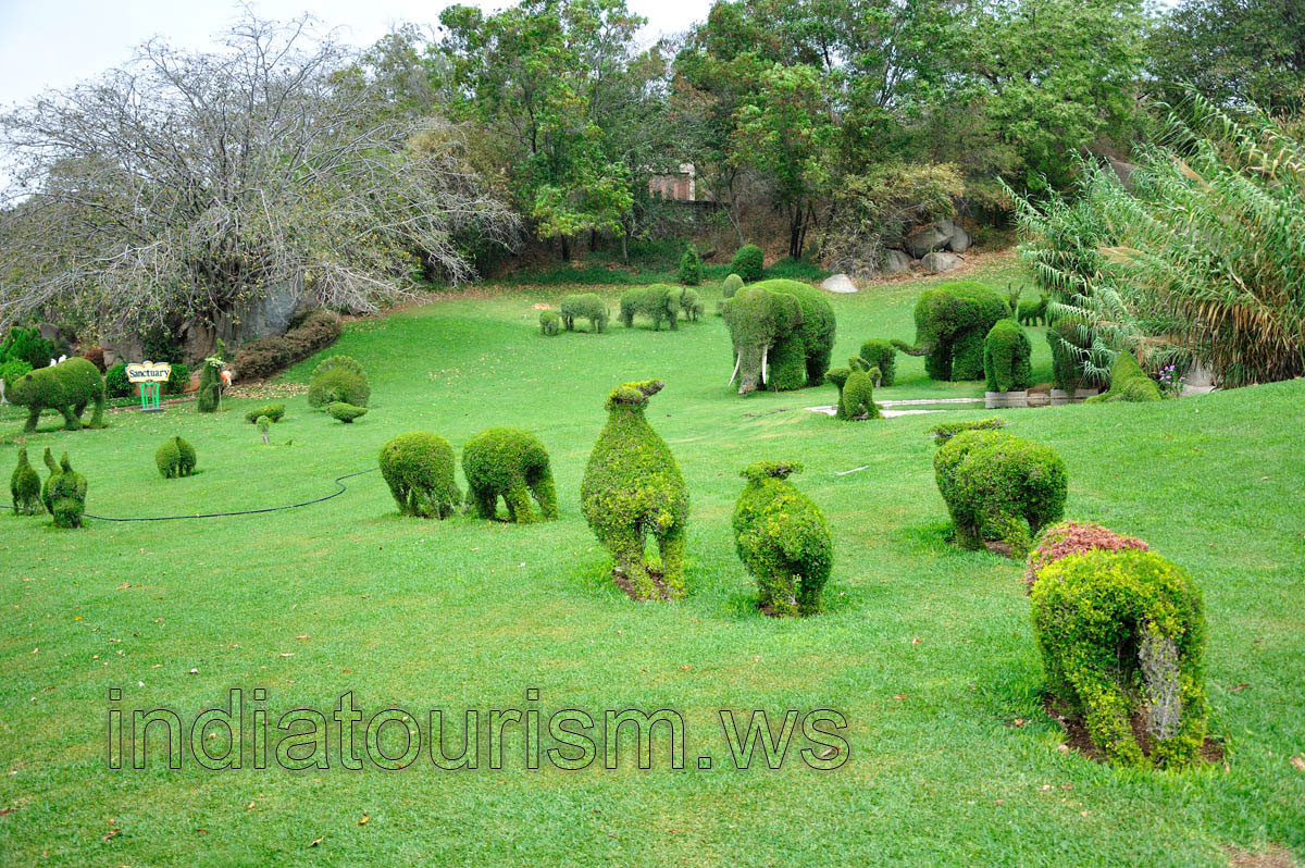 Sanctuary garden: misterious animals