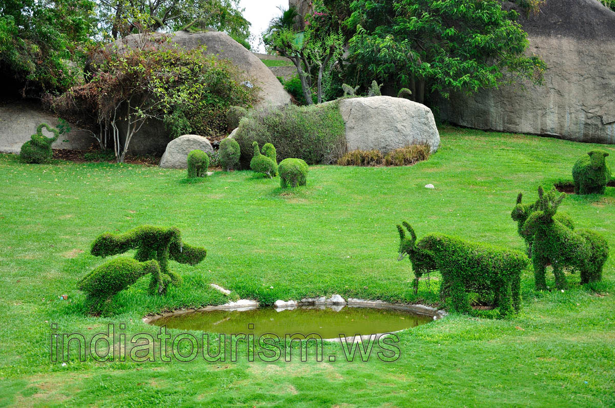 Sanctuary garden: miraculous birds