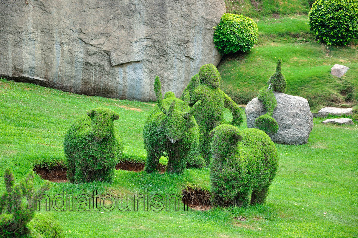 Sanctuary garden: sheep and goats