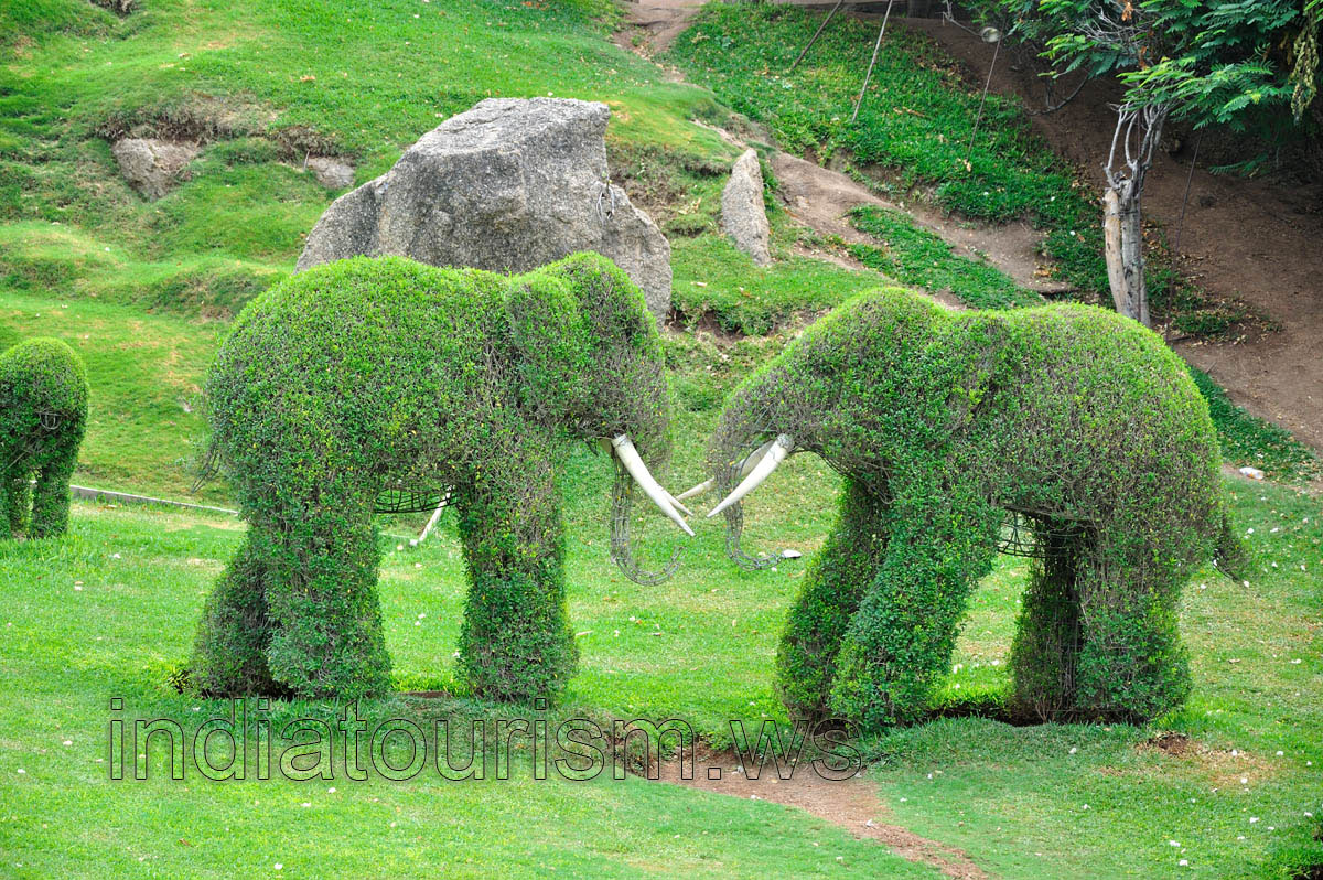 Sanctuary garden: small elephants