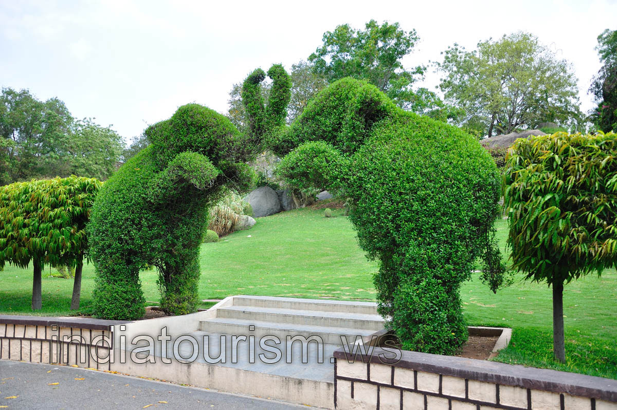 Sanctuary garden: elephants with its trunks raised