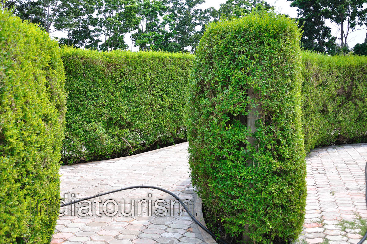 Inside the Lost world