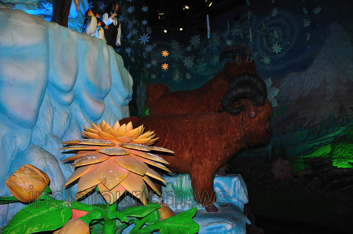 Filmi Duniya: ice & flower