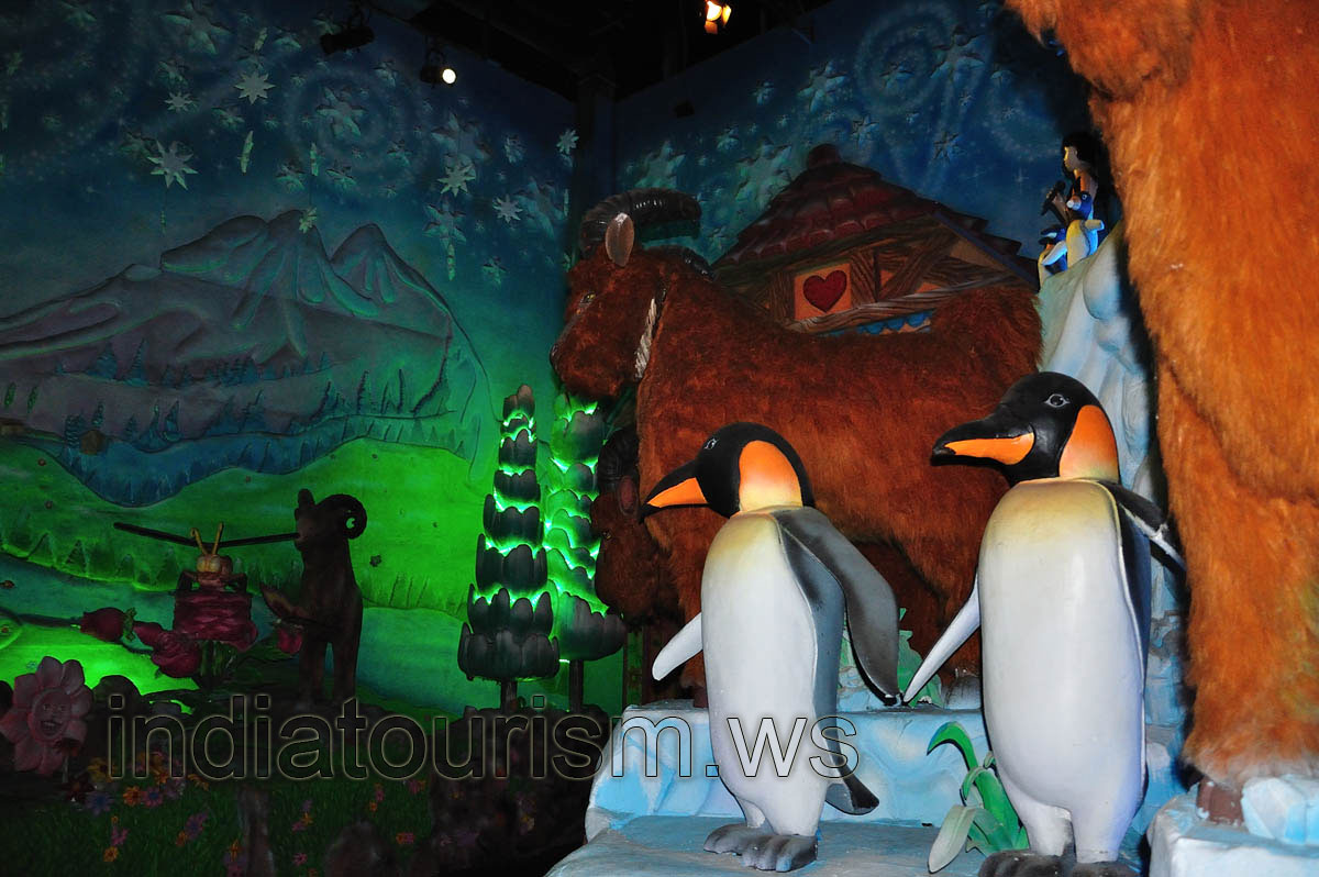 Filmi Duniya: penguins in the Antarctic