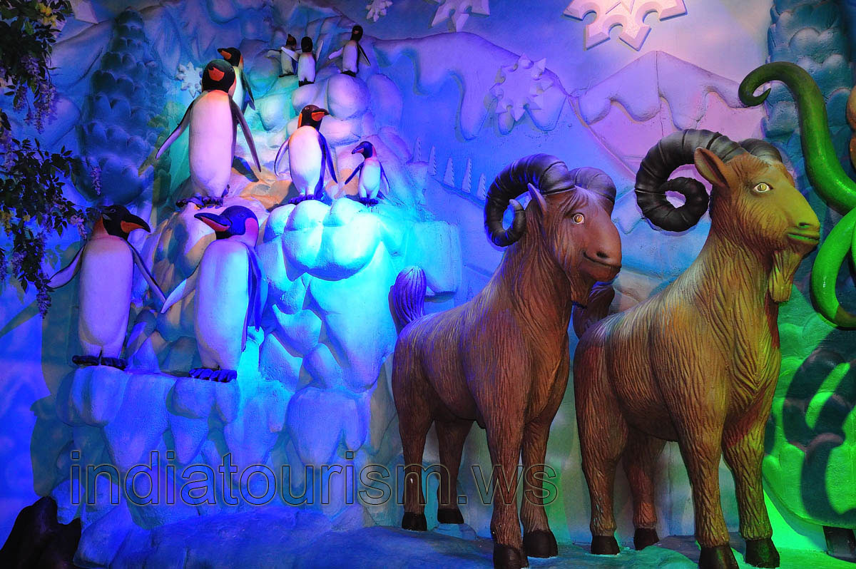 Filmi Duniya: rams and penguins