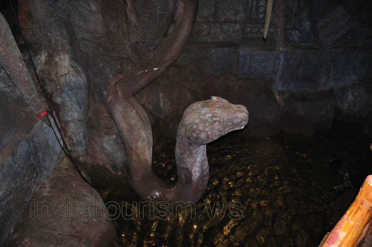 Borasura: huge snake