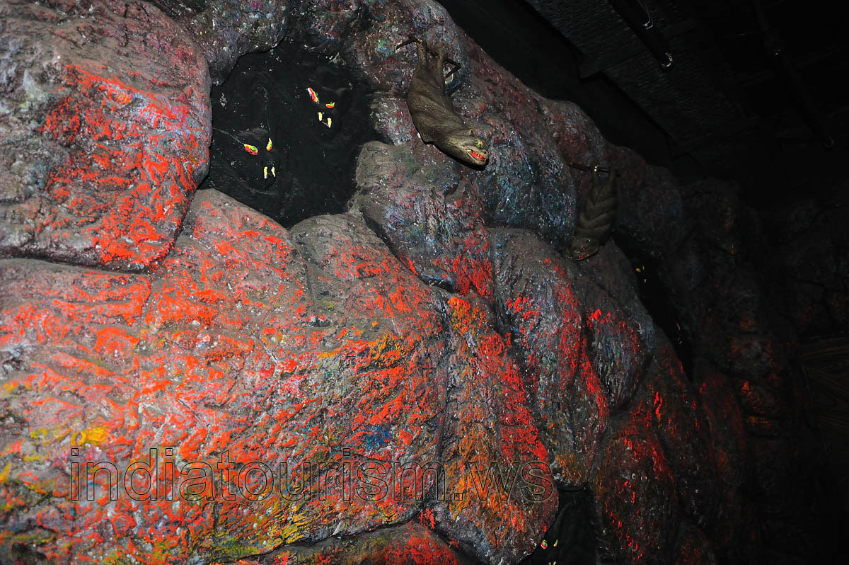 Borasura: lousy bats