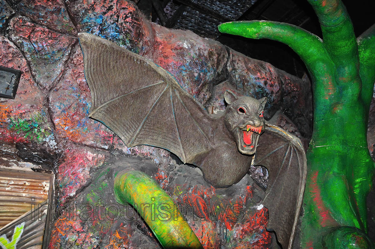 Borasura: obnoxious bat of a big size