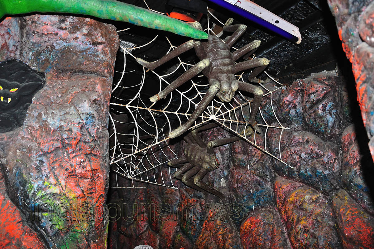 Borasura: spiders in the dark