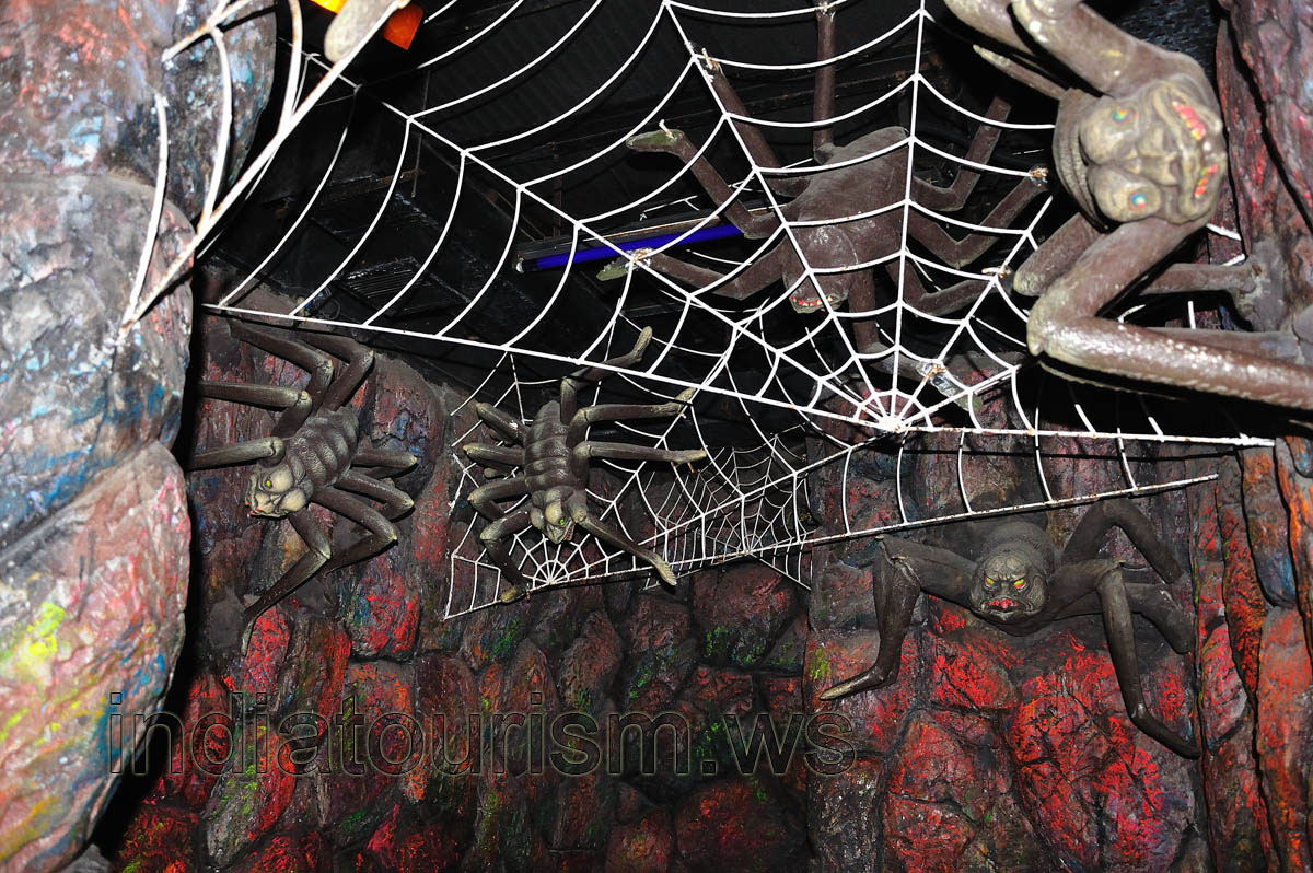 Borasura: scary spiders