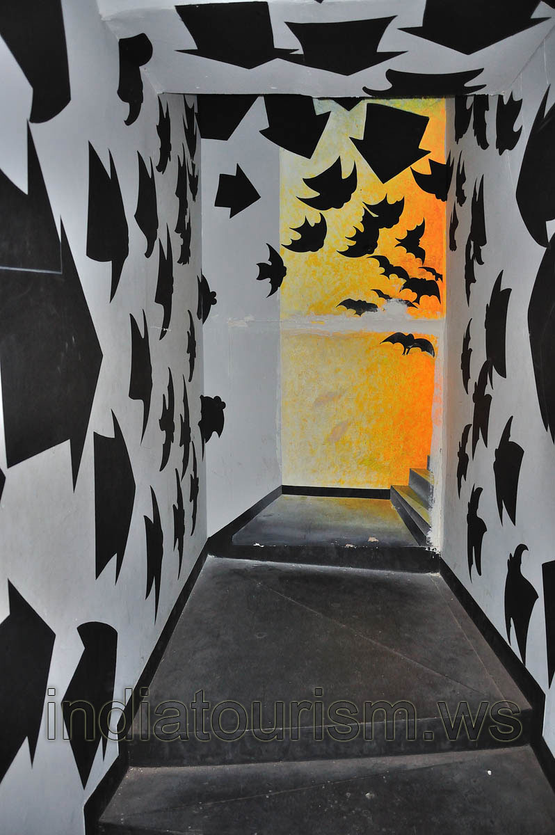 Borasura: arrows point us the direction