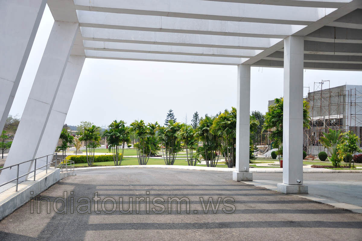 Palm trees beside the airport