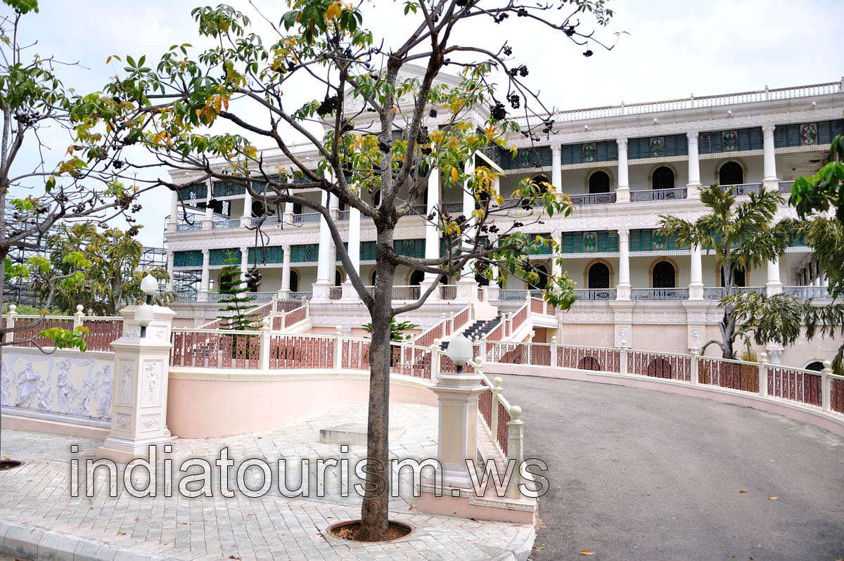 Tree with black fruits in front of the palace