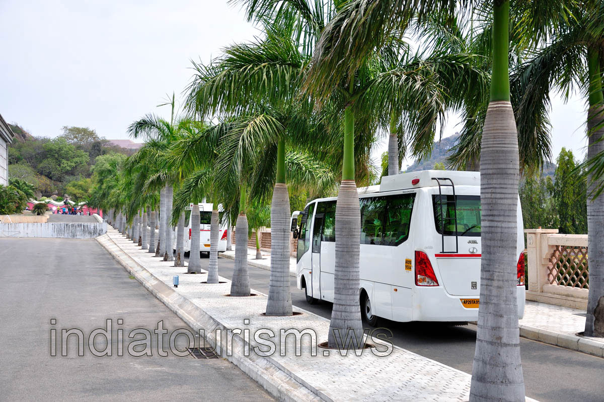 Alley with the Royal palms